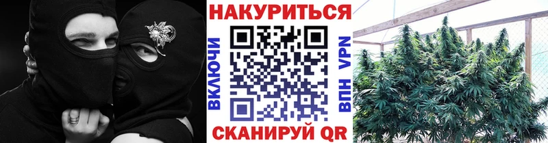 Где можно купить наркотики Ужур ГАШИШ APVP Cocaine Мефедрон Канабис