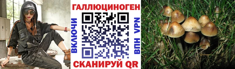 Псилоцибиновые грибы Cubensis  продажа наркотиков  Ужур 